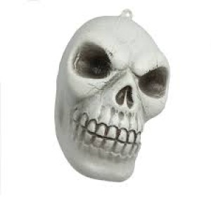 MINI CRANIO DE PLASTICO JZ