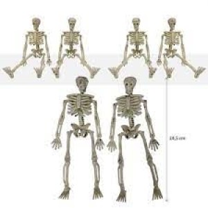ESQUELETO ARTICULAVEL C/ 2 PEÇAS